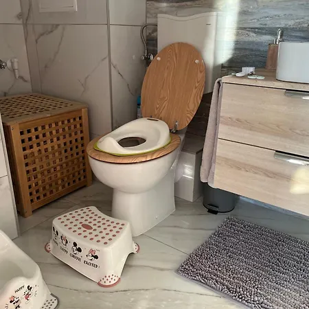 Cedrus * 陶波尔曹