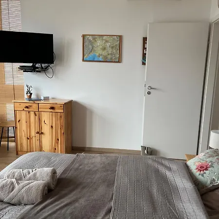 Cedrus * 陶波尔曹