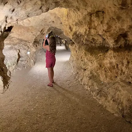 Cedrus 公寓 陶波尔曹