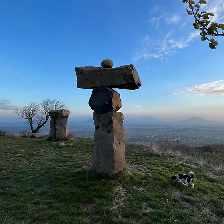 Cédrus Tapolca
