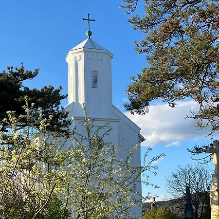 Cedrus * 陶波尔曹