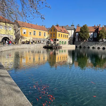 Cédrus Appartamento Tapolca
