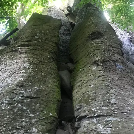 Cédrus Appartamento