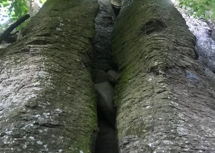 Cédrus Appartamento